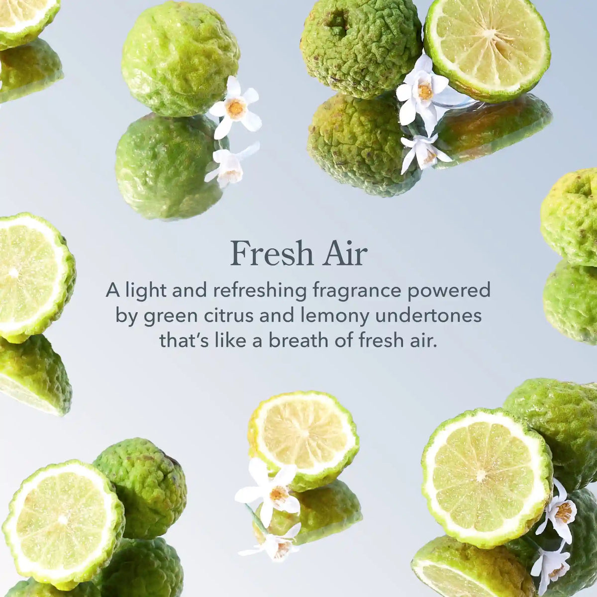 Fresh Air Mini Hand Cream Set of 3