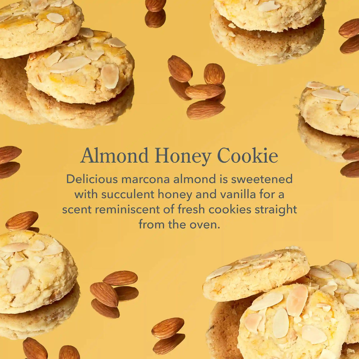 Almond Honey Cookie Lotion