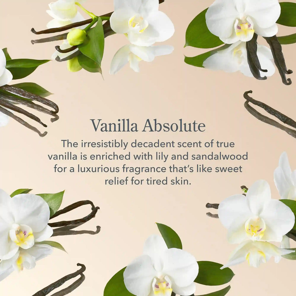 Vanilla Absolute Goat Milk Hand Cream