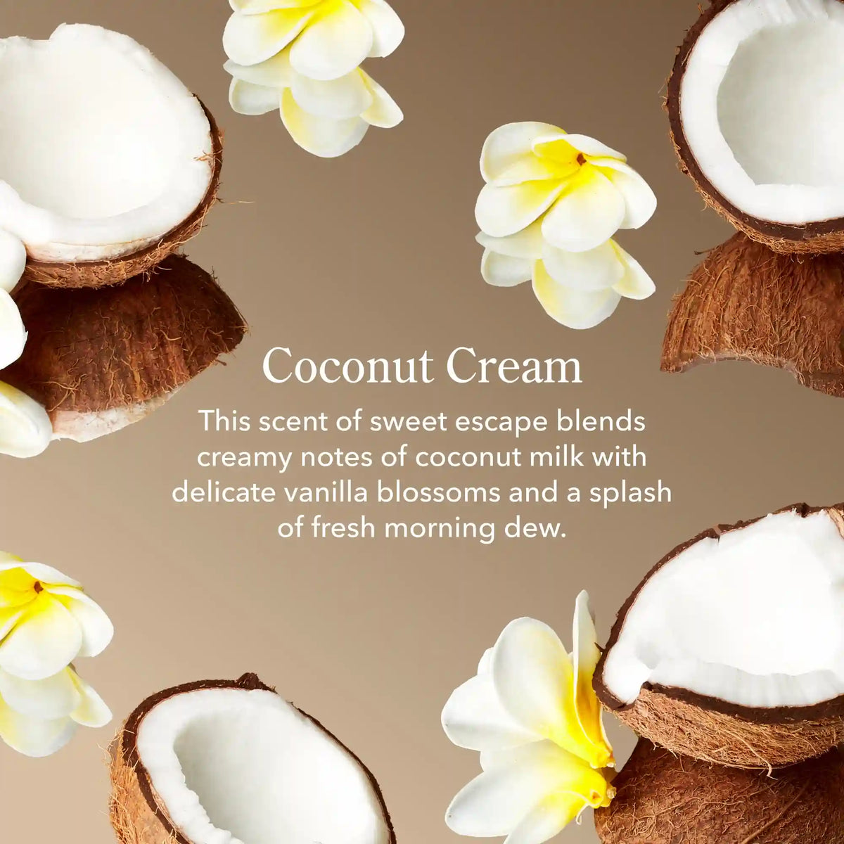 Coconut Cream Whipped Body Cream